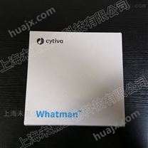 沃特曼Cytiva高性能纤维素33x80mm萃取套管