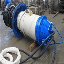 天津大流量轴流潜水电泵，卧式热水潜水泵