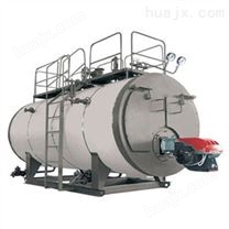 山东龙兴 LSS立式水管全自动燃油（气）锅炉