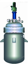 山东龙兴-高压磁力反应釜   电加热反应釜    不锈钢反应釜