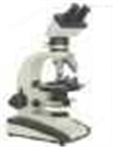 偏光显微镜XP-501/501E