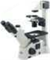 倒置显微镜AE30/31